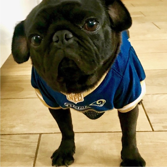 🌟🌟🌟🌟🌟 AMBASSADOR - Picture 4 of 16